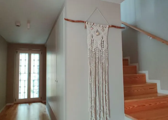 Serviced - Miragaia *